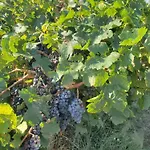 Alojamento de Acomodação e Pequeno-almoço CHAMBRE D HOTES à 4 KMS D UZES  Chez Nadou Arpaillargues-et-Aureillac